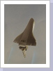 space shuttle star:t1986 / airbrush